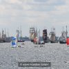 kieler_woche_windjammerparade_event_segeltoern_teamausflug_kieler_foerde_ostsee